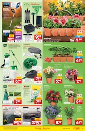Aktueller Netto Marken-Discount Prospekt mit Gartenwerkzeug, "Aktuelle Angebote", Seite 13