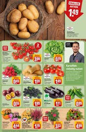 Deko im REWE Prospekt in Ludwigshafen Aktueller REWE Prospekt mit Deko, "Dein Markt", Seite 9