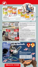Vitamine im Zookauf Prospekt in Neuss Aktueller Zookauf Prospekt mit Vitamine, "TIERISCHE LIEBLINGSPRODUKTE ZUM AKTIONSPREIS!", Seite 4