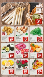 Aktueller nahkauf Prospekt mit Kartoffeln, "nichts liegt näher", Seite 3