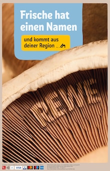 Barbie Angebot im REWE Prospekt, gültig von 17.08.2026 bis 22.08.2026 Barbie Angebot im aktuellen REWE Prospekt auf Seite 32