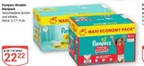Aktuelle Pampers Angebote bei GLOBUS in Ludwigshafen (Rhein) Aktuelles Windeln Maxipack Angebot bei GLOBUS in Ludwigshafen (Rhein) ab 22,22 €