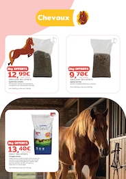 Prix et réduction Muesli dans le prospectus JMT LE ROYAUME DES ANIMAUX en cours Offre Muesli dans le catalogue JMT LE ROYAUME DES ANIMAUX du moment à la page 8