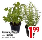 Aktuelles Rosmarin Angebot bei EDEKA in Regensburg ab 1,99 €