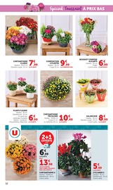 Promos Plantes dans le catalogue "Halloween À PRIX BAS" de Super U Plantes en promo dans le catalogue Super U à la page 32