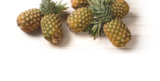 Ananas Sweet im aktuellen tegut Prospekt
