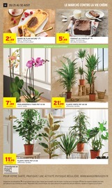 Promos Plante Verte dans le catalogue "VIVE LA FIN DES VACANCES" de Intermarché Contact Plante Verte en promo dans le catalogue Intermarché Contact à la page 14