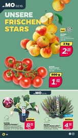 Gemüse Angebote im Prospekt "Günstig. Besser. Für Dich." von Netto mit dem Scottie auf Seite 2