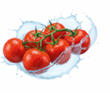Aktuelle Tomaten Angebote bei Netto Marken-Discount in Heilbronn Aktuelles Rispentomaten Angebot bei Netto Marken-Discount in Heilbronn ab 2,49 €