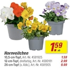 Hornveilchen im Angebot bei toom Baumarkt in Celle Hornveilchen Angebote bei toom Baumarkt Celle für 1,59 €