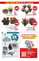 Offre Fleurs Artificielles dans le catalogue Super U du moment à la page 31