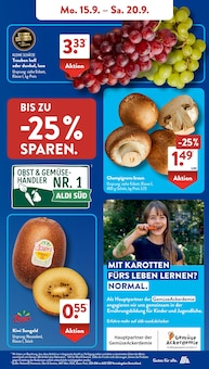 Aktueller ALDI SÜD Prospekt "Gutes für Alle." mit 45 Seiten