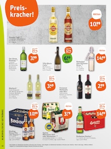 Bier im tegut Prospekt "tegut… gute Lebensmittel" mit 23 Seiten (Wiesbaden)