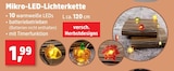 Mikro-LED-Lichterkette im Angebot bei Thomas Philipps in Remscheid Mikro-LED-Lichterkette Angebote bei Thomas Philipps Remscheid für 1,99 €