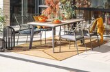 Diningstuhl „Dido“  im aktuellen Hagebaumarkt Prospekt für 59,99 €