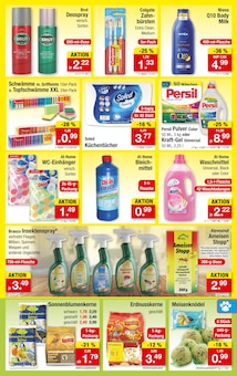 Persil im aktuellen Zimmermann Prospekt (Oldenburg) Persil im Zimmermann Prospekt "Mehr als Du denkst!" mit 10 Seiten (Oldenburg)