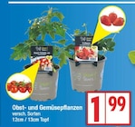 Snack-Tomate, rot für 1,99 € bei EDEKA im Angebot Snack-Tomate, rot im aktuellen EDEKA Prospekt