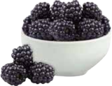 Brombeeren im EDEKA Prospekt Brombeeren von im aktuellen EDEKA Prospekt für 1,99 €