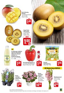 Hortensie im aktuellen EDEKA Prospekt (Darmstadt) Hortensie im EDEKA Prospekt "Aktuelle Angebote" mit 46 Seiten (Darmstadt)