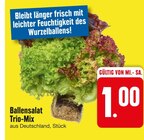 Ballensalat Trio-Mix Angebote bei EDEKA Ravensburg für 1,00 €