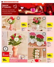 Plantes Angebote im Prospekt "Carrefour" von Carrefour Plantes Angebote im Prospekt "Carrefour" von Carrefour auf Seite 8