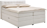 Boxspringbett „FANO“ Angebote bei mömax Heilbronn für 1.199,00 €