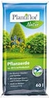 Pflanzenerde von Plantiflor für 9,99 € bei Hellweg im Angebot Pflanzenerde von Plantiflor im aktuellen Hellweg Prospekt