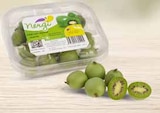 WEZ Minden Prospekt mit  im Angebot für 1,49 €