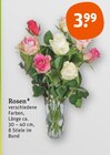 Aktuelles Rosen Angebot bei tegut in Göttingen ab 3,99 €