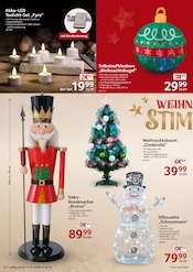 Weihnachtsbaum im Selgros Prospekt in Haßloch Aktueller Selgros Prospekt mit Weihnachtsbaum, "cash & carry", Seite 22