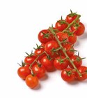 Cherrytomaten Miss Perfect rot Angebote bei Netto mit dem Scottie Stralsund für 1,99 €