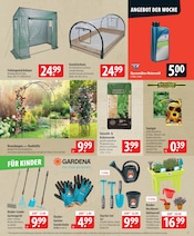 Aktueller famila Nordost Prospekt mit Blumentopf, "besser als gut!", Seite 25