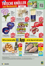 Champignons im E center Prospekt in Freiburg Aktueller E center Prospekt mit Champignons, "Aktuelle Angebote", Seite 36