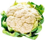 Blumenkohl bei REWE im Isny Prospekt für 1,69 €