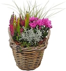 Herbstlicher Weidenkorb Angebot in Bretleben Herbstlicher Weidenkorb im aktuellen Prospekt bei REWE in Bretleben