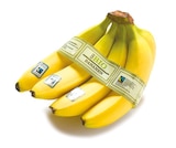 Bananen bei Netto mit dem Scottie im Eberswalde Prospekt für 1,59 €