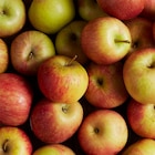 Pomme bicolore BIO dans le catalogue Carrefour