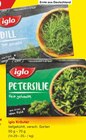 Aktuelle Kräuter Angebote bei Netto Marken-Discount in Essen Aktuelles Dill Angebot bei Netto Marken-Discount in Essen ab 14,29 €