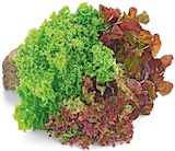 Wurzelsalat Angebote von REWE Regional bei REWE München für 0,99 €
