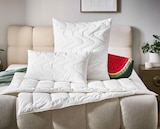 Aktuelles Ganzjahresbett Angebot bei XXXLutz Möbelhäuser in Duisburg ab 29,99 €