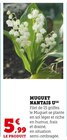 Muguet Nantais - U en promo chez Super U Le Mans à 5,99 €