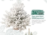 Sapin glacé blanc ROBIN pépinières dans le catalogue Botanic