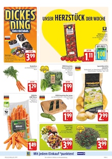 Pflanzen im aktuellen EDEKA Prospekt (Chemnitz) Pflanzen im EDEKA Prospekt "Wir lieben Lebensmittel!" mit 38 Seiten (Chemnitz)