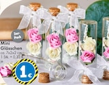 Mini Glässchen im Angebot bei TEDi in Ahaus Mini Glässchen Angebote bei TEDi Ahaus für 1,00 €