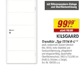 Trendtür Typ 17/14 R-L bei toom Baumarkt im Freital Prospekt für 99,99 €