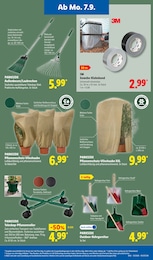 Lidl Besen im Prospekt Lidl Besen im Prospekt