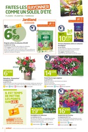Offre Fleur En Pot dans le catalogue Jardiland du moment à la page 4