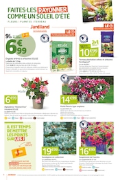 Promos Potée dans le catalogue "J'AIME QUAND C'EST RELAX" de Jardiland à la page 4 Promos Potée dans le catalogue "J'AIME QUAND C'EST RELAX" de Jardiland à la page 4