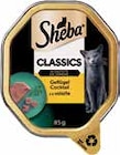 Katzennahrung im V-Markt Prospekt Katzennahrung von Sheba im aktuellen V-Markt Prospekt für 0,44 €