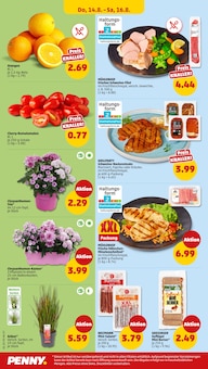 Tomaten im Penny Prospekt "Wer günstig will, muss Penny." mit 36 Seiten (Mainz)